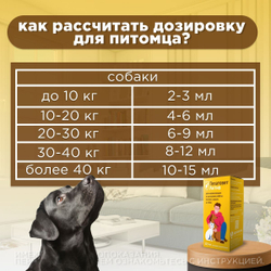 Apicenna Гепатовет Актив для собак и кошек, суспензия для нормализации и улучшения работы печени, 50 мл. Метионин.