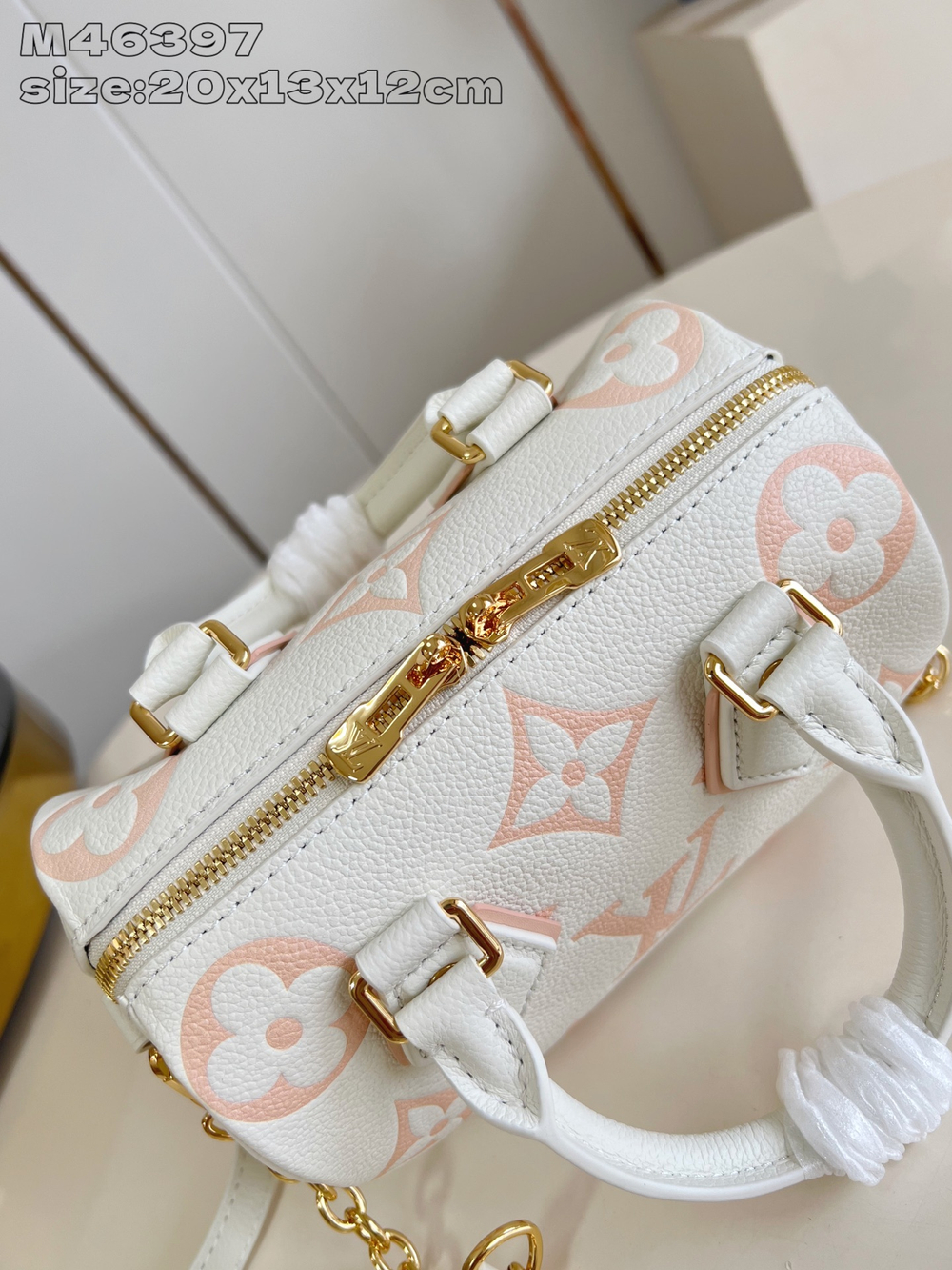 Louis Vuitton Speedy 20