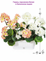 Искусственные цветы для балкона Герань персиково-белая 40см в балконном ящике