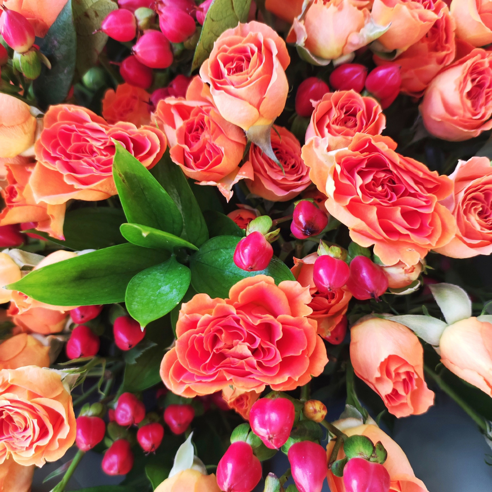 Букет из 17 оранжевых кустовых роз с гиперикумом