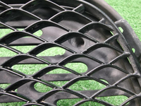 Решетка перед. бампера Mercedes S W222 (13-17) AMG