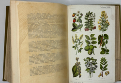 Платен М. Новый способ лечения. Лечение целебными силами природы. — Берлин: Изд. Просвещение, 1901