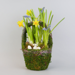 Композиция с первоцветами Лесная корзина S
