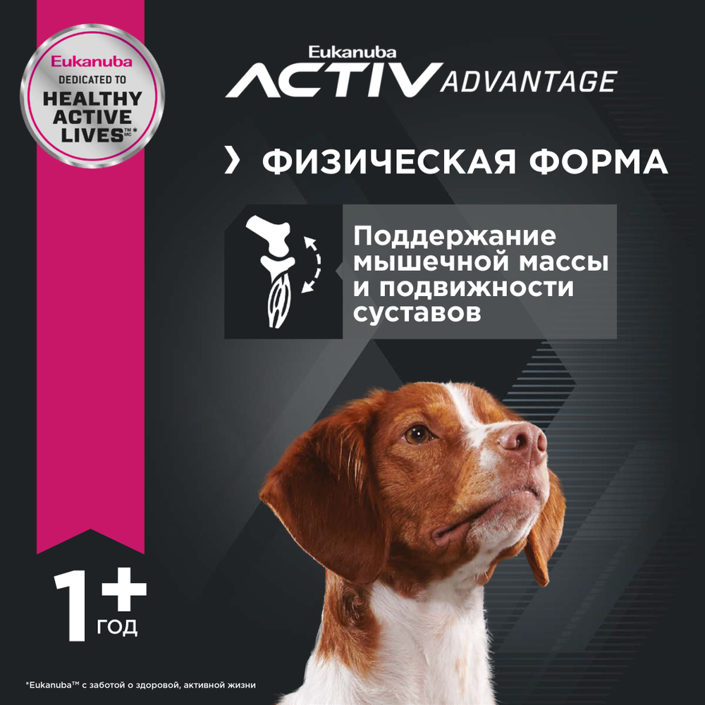 Сухой корм Eukanuba Adult Medium Breed 1+ years для взрослых собак средних пород от года и старше с курицей 3 кг