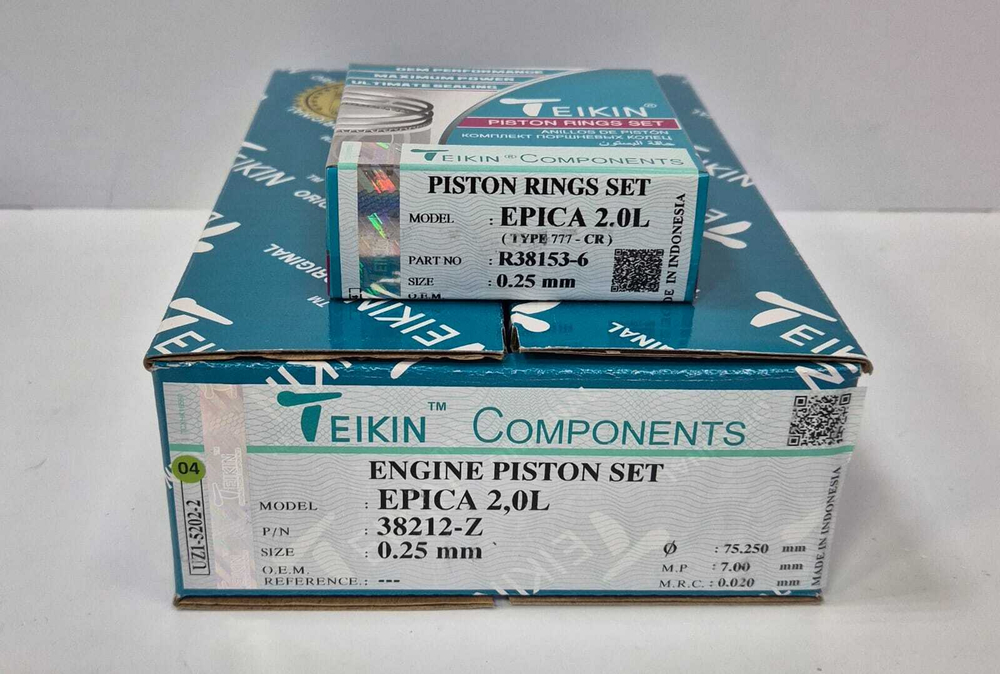 Ремонтные поршни +0.25 Epica 2.0 X20D1 Teikin