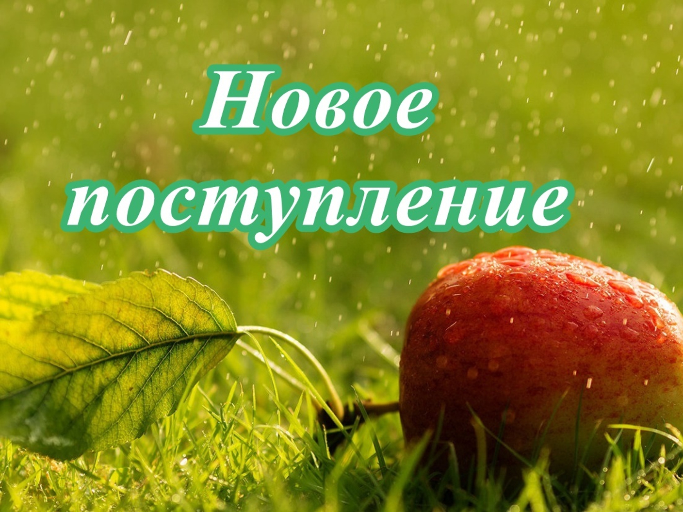 Новинки