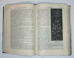 Г. Киселёв. Цветоводство., изд. 1949 г. Подарочное издание с цветными иллюстрациями.