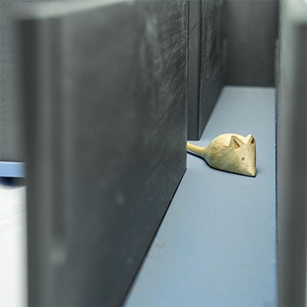 T- и Y-образный лабиринты