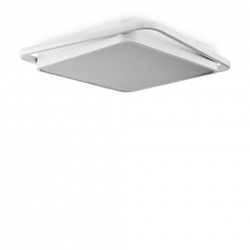 Накладной светильник Freya  FR10030CL-L88W