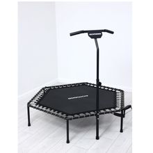 Батут для джампинга с рукояткой и счетчиком Romana 12.10.00 (черный)