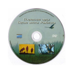 DVD-Научно-популярные фильмы. Аисты Ровбицка. Последние орлы