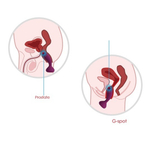 Стимулятор простаты Svakom Julie с пультом фиолетовый 10,2 см