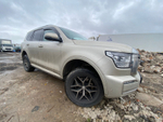 TANK 500 2.0T AT 4WD Urban