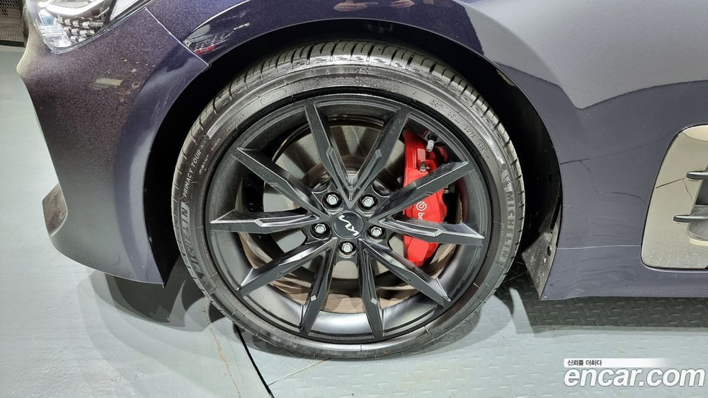 Kia Stinger Meister 3.3 GT 아크로 Editions (10.2021)
