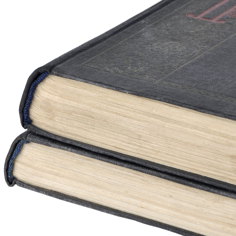 Степан Разин (комплект из 2 книг)