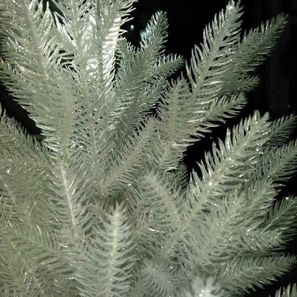 Белая елка «Хрустальная» (Литая хвоя прозрачно-белая) 270 см / 2,7 м