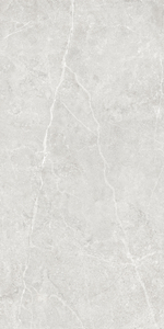 Керамогранит Ideal GT1206020506LGR светло-серый 60x120