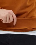 Толстовка Anteater Crewneck BigLogo терракотовая