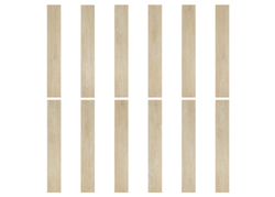 PW 01008 SAND