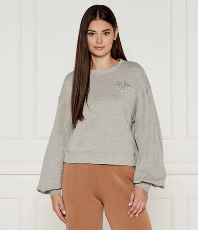 Худи CERESOLE Pinko - серый(102827 A24F)