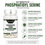 Probase Nutrition, Фосфатидилсерин, 120 капсул (150 мг на капсулу)
