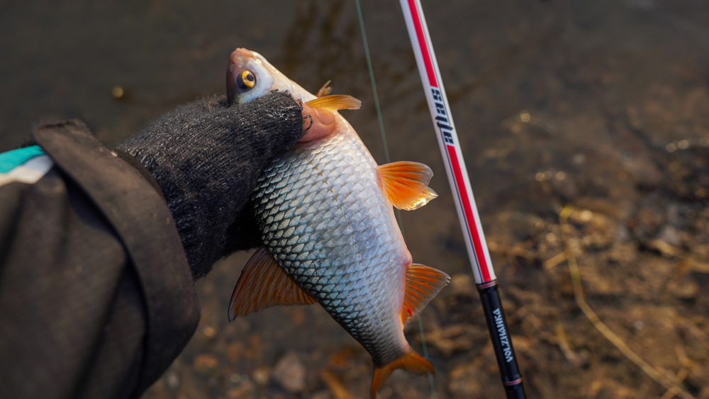 Секция № 2 к удилищу фидер "Volzhanka Atlas" 3.9м 80+гр