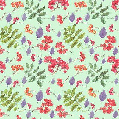 Рябина и листья