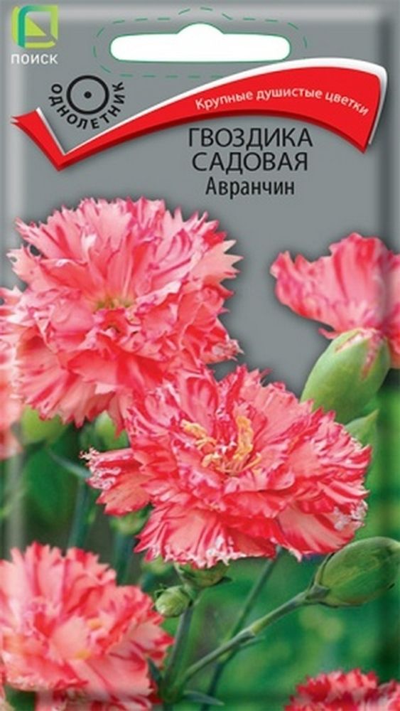 Гвоздика садовая &quot;G. Авранчин&quot; 0.1г., Россия.