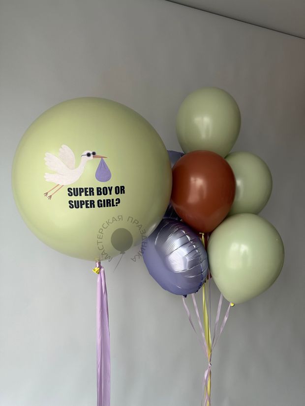 Воздушные шары на определение пола №8684
