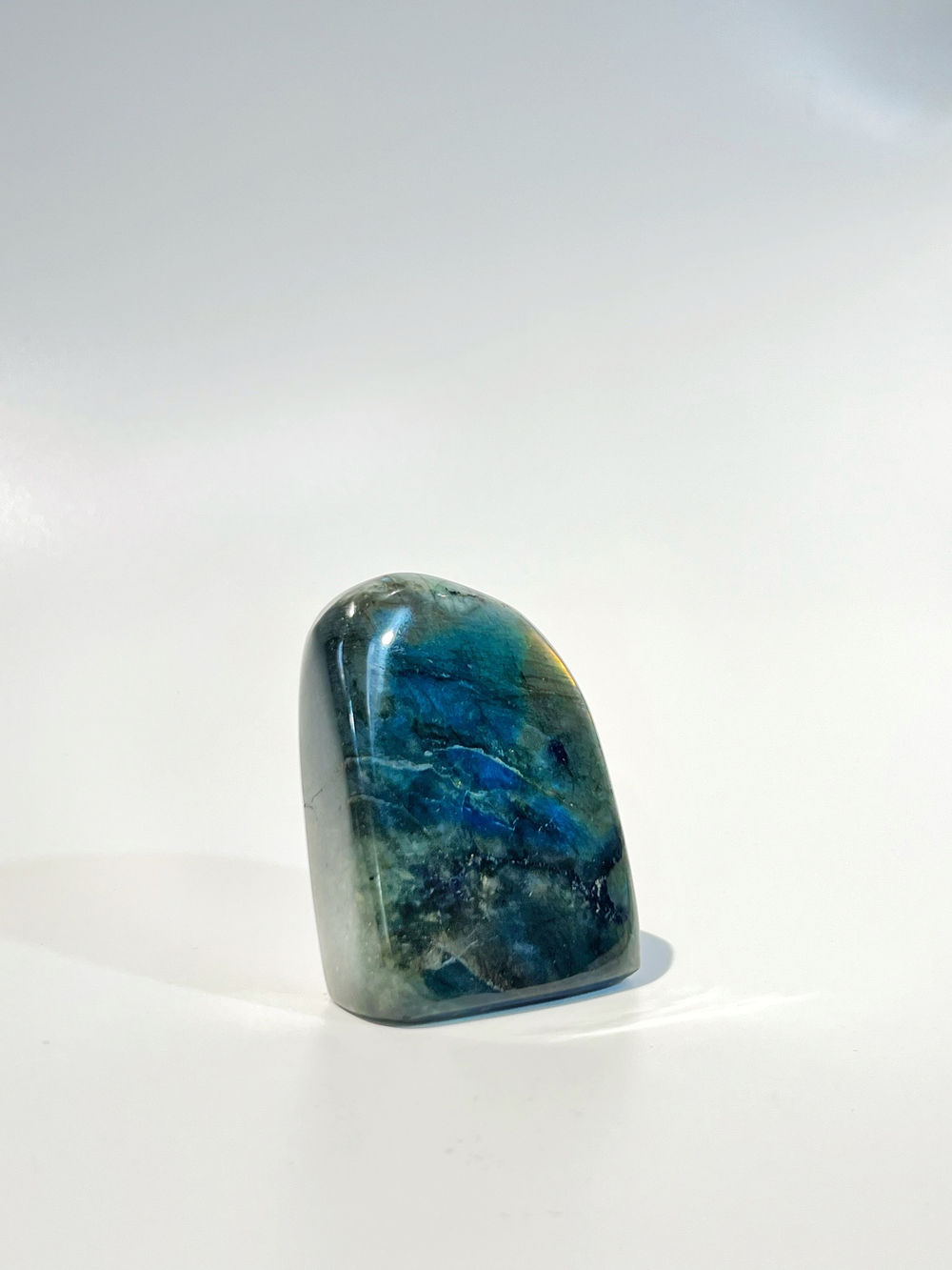 Срез Лабрадора S