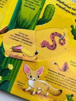 Книжка с окошками