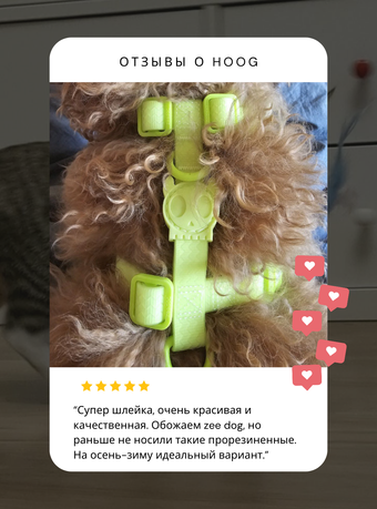 Поводок HONEY 120 см Zee.Dog