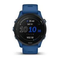 Смарт часы Garmin Forerunner 255 с синим ремешком