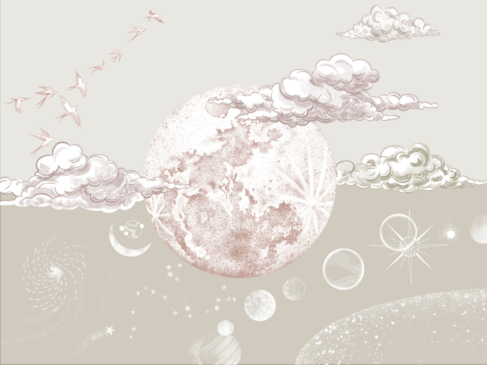 Коллекция COSMOS