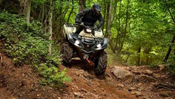 Квадроцикл YAMAHA GRIZZLY 700 EPS SE (ПСМ)