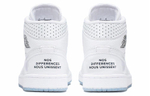 Кроссовки Jordan Air Jordan 1 Mid Nos Differences Nous Unissent (Женская размерная сетка)