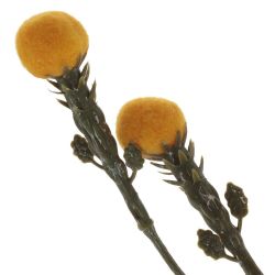 GAEM Цветок искусственный "Краспедия", L12 W8 H83 см