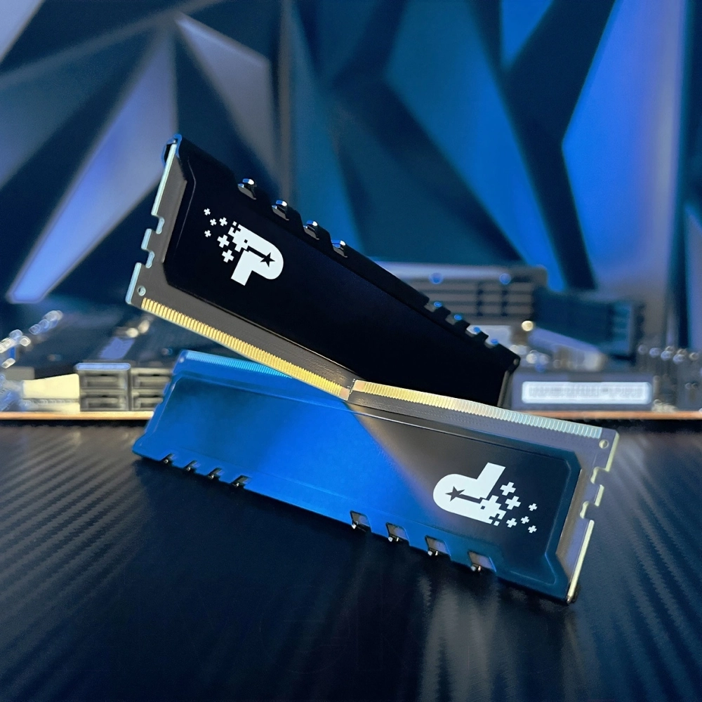 Память оперативная Patriot DDR5 2x16GB 4800MHz Signature Premium RTL (PSP532G4800KH1)