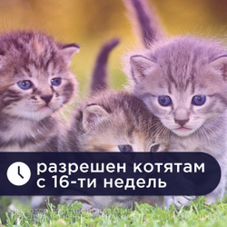 Средство противорвотное для собак и кошек Маропиталь Apicenna, 10 мл