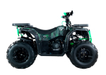 Квадроцикл MOTAX Grizlik U200
