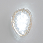 Бра Crystal Lux FELICIDAD AP9W LED