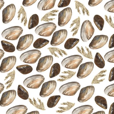 Акварельные ракушки