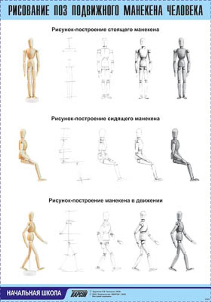Таблица демонстрационная "Рисование поз подвижного манекена человека"