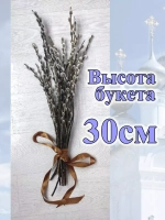 Верба декоративная