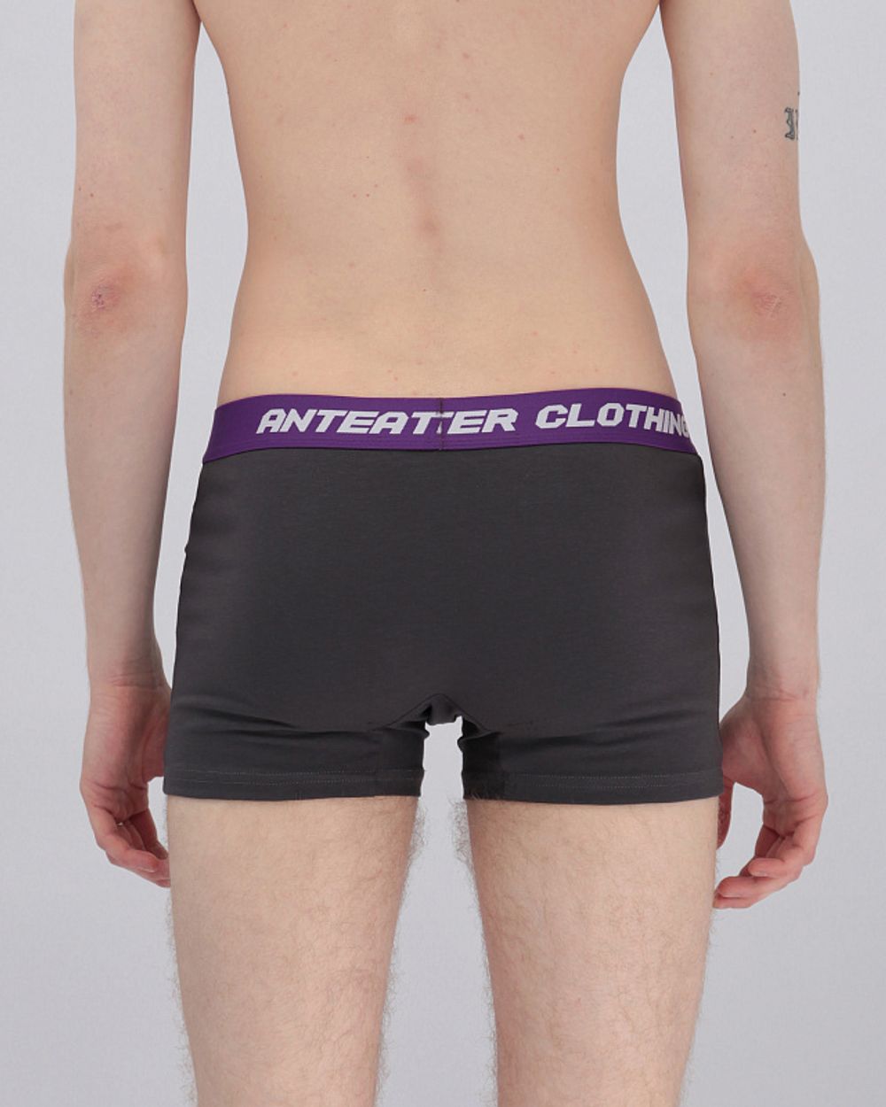 Трусы набор Anteater Boxers Черные и Серые