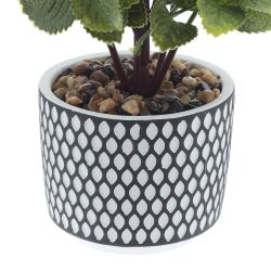 GAEM Цветочная композиция, L18 W18 H68 см