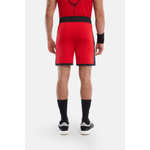 ОДЕЖДА ДЛЯ ТЕННИСА Мужская, Шорты HYDROGEN MESH TECH SHORTS .