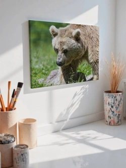 Картина на стену 40 X 50 Медведь