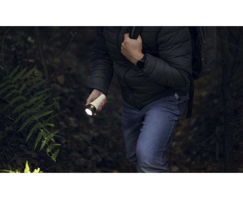 Фонарь Armytek Bear WRG (F09901C)