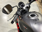 Triumph Trident 660 Gray